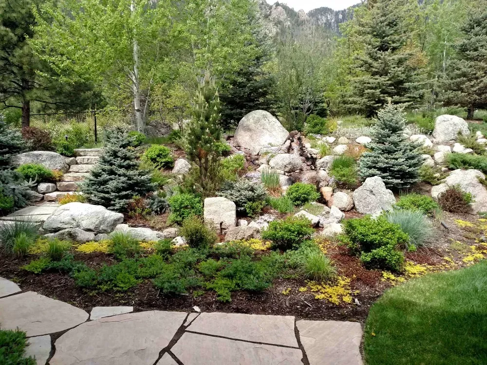 Native Perennial Border