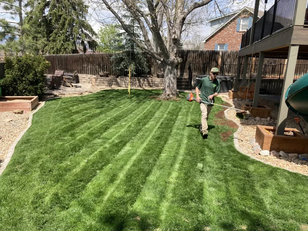 Residential Lawn Maintenance