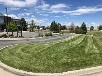 Commercial Landscaping